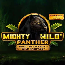 Mighty Wild Panther