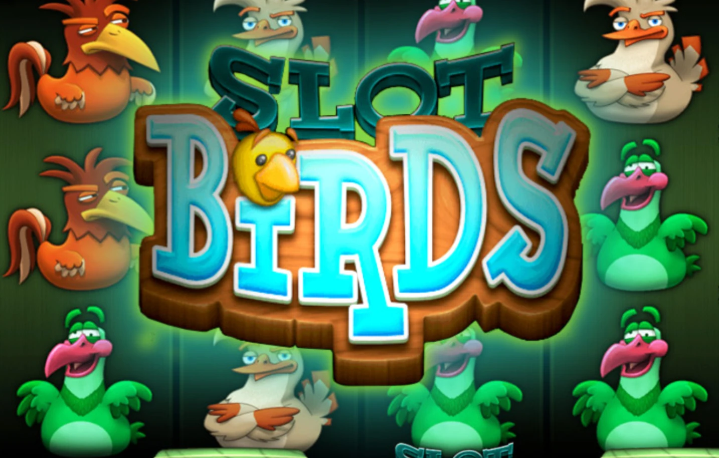 birds